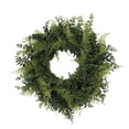 thumbnail image 1 of Fougère à Boucles et Couronne d'Herbe de 24 Po - Vert, 1 of 1