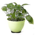 thumbnail image 4 of Plant Pots Feet For Outdoor Flower Pot Feet Invisible Plant Pots Risers Pad Gardening Pot(48 Pieces, Black), 4 of 5