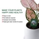 thumbnail image 3 of Mini Probador Humedad Del Flores Higrómetro Detector Analizador Plantas Jardín, 3 of 8