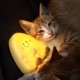 thumbnail image 5 of Luz Nocturna De Queso, Temporizador Infantil Recargable USB con Luz LED De Decoración Interior De Dibujos Animados Brillantes Y Largas para Dormir,Yellow, 5 of 5