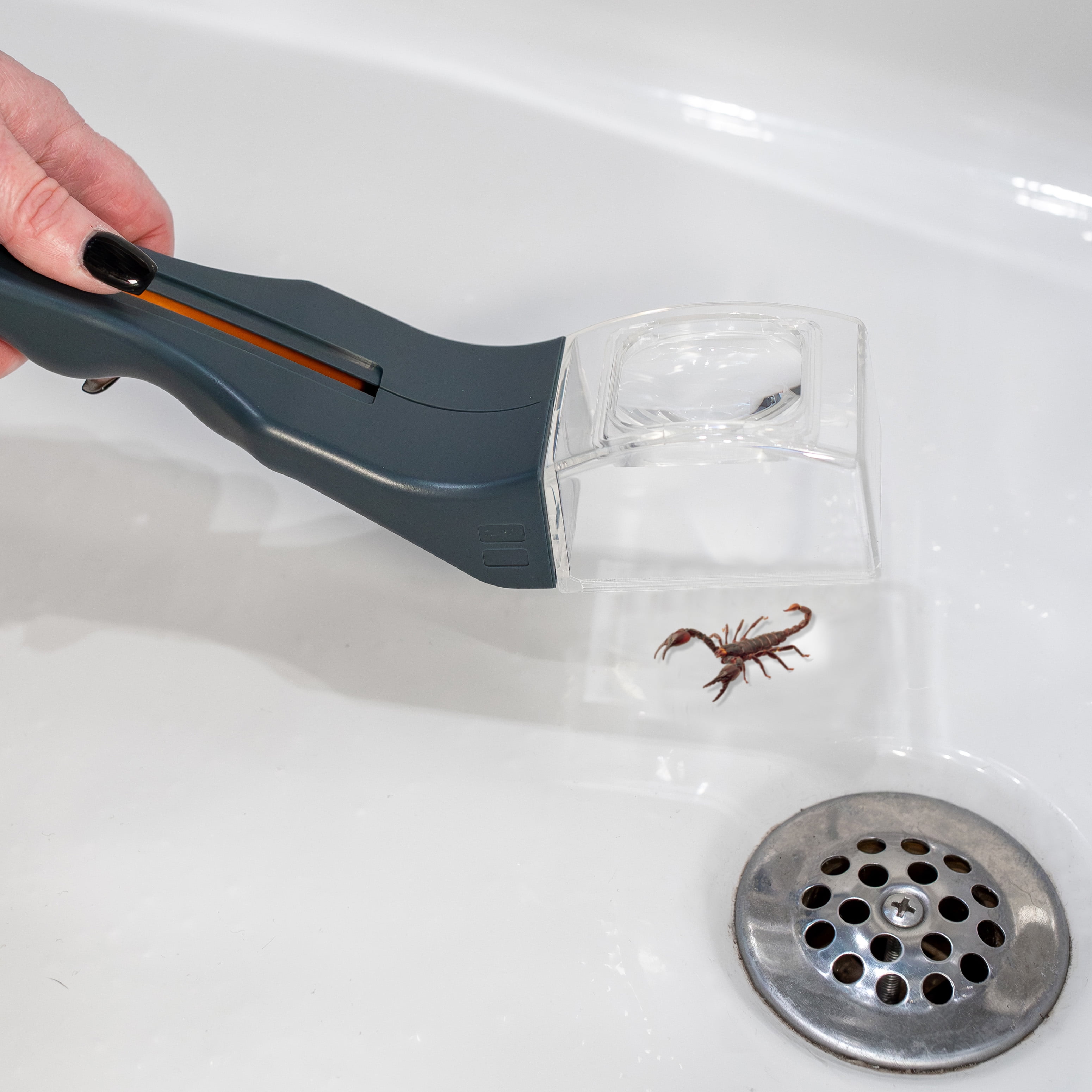 Carson Insect Catching Tool Handheld Bug Catcher with Built-in Magnifying Glass Safe Insect Trap for Kids and Adults