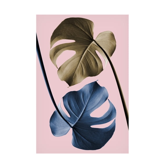 Trademark Fine Art Pictufy Studio Monstera Pink 12 Canvas Wall Art
