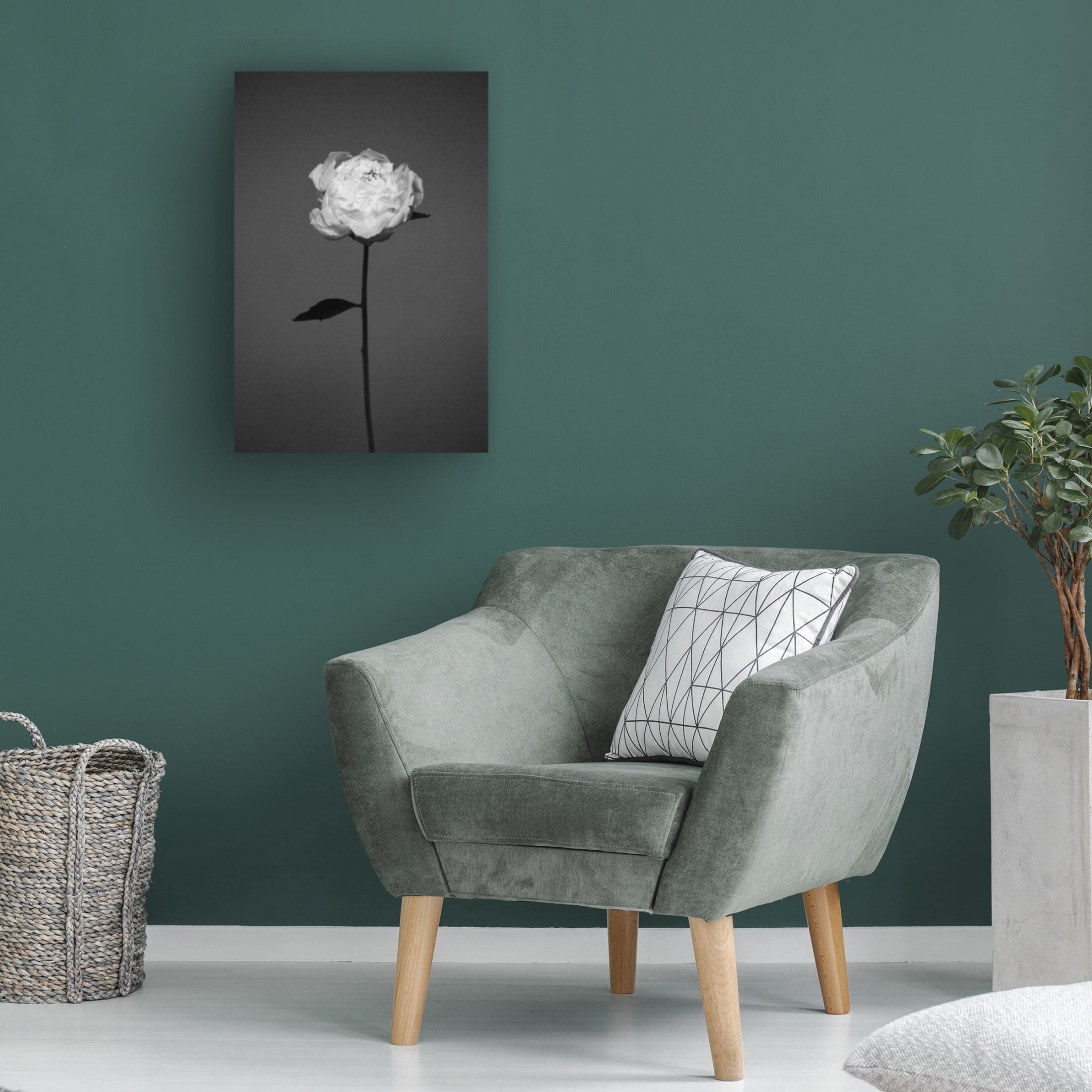 Trademark Fine Art Antonida Frolova Peony Canvas Wall Art