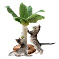 thumbnail image 1 of Cat for Large Cats Protect Your Furniture Sisal Scratch Post Brown 30cm, 1 of 8