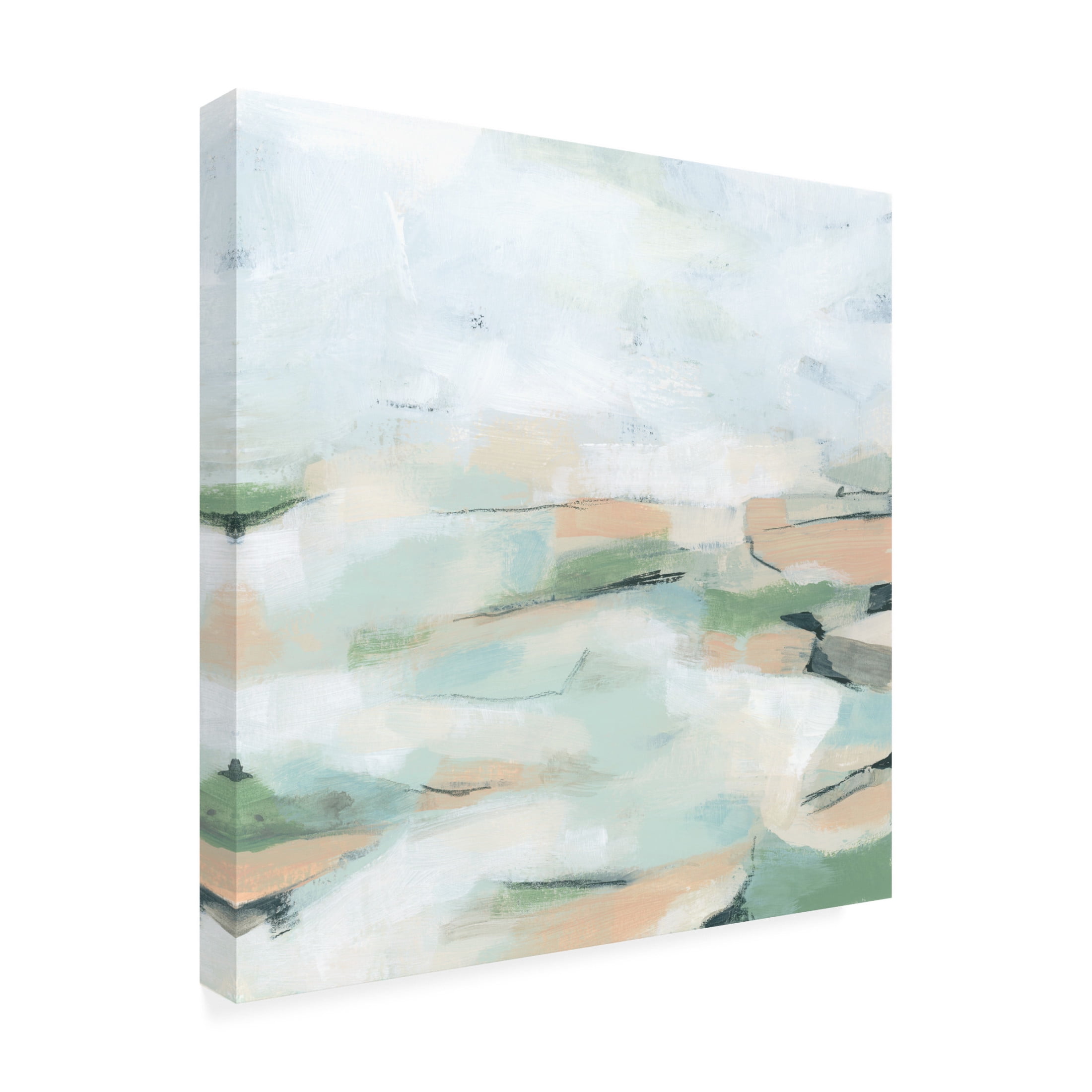 Trademark Fine Art June Erica Vess  Field Geomtery II Canvas Wall Art
