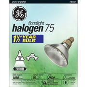 GE 75-Watt Halogen Plus Flood Light
