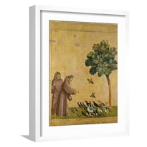 Art.com St. Francis of Assisi Preaching to the Birds Giclee Print by Giotto di Bondone, White Frame Wall Art, 17" x 21"