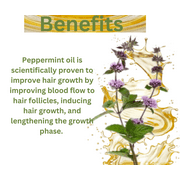 Pomberries Rosemary, Pumpkin Seed, Peppermint, Saw Palmetto Hair Oil