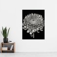 thumbnail image 2 of Detailed Chrysanthemum Flower Bloom Illustration Extra Large XL Wall Art Poster Print, 2 of 3