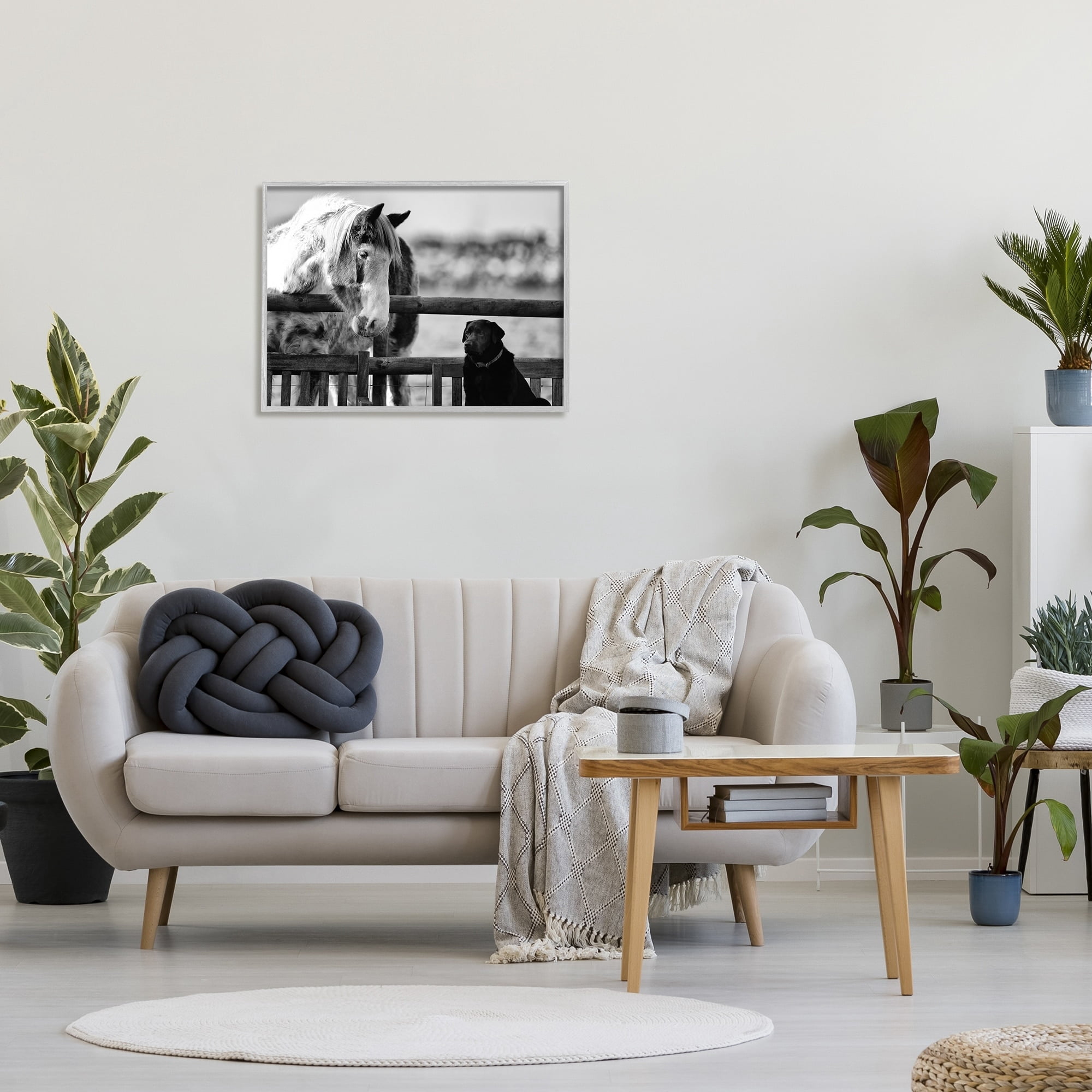 Stupell Industries Dog & Horse Farm Animal Friends Monochrome Photography Photograph Gray Framed Art Print Wall Art, Design by James Dobson
