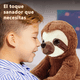 thumbnail image 2 of Peluche De Perezoso, CAFE, 2 of 5