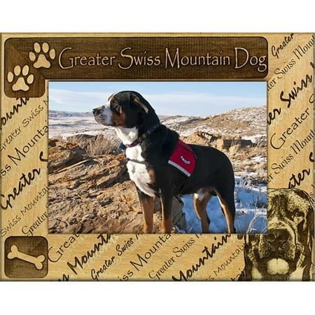 Giftworks Plus DBA0092 Greater Swiss Mountain Dog, Alder Wood Frame, 3.5 x 5 In