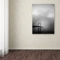 thumbnail image 3 of Trademark Fine Art "Golden Gate and Birds" Canvas Art by Moises Levy, 3 of 3