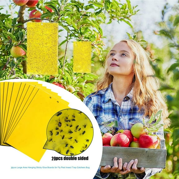 20-Pack Dual-Sided Yellow Sticky Traps for Flying Plant Insect Such as Fungus Gnats, Whiteflies, Aphids, Leafminers,Thrips - (6x8 Inches, Included 20pcs Packing Ropes)