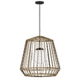thumbnail image 5 of 10394BK Hinkley Lighting Arlen - 12W 1 LED Outdoor Large Hanging Pendant-23 Inch Tall and 24 Inch Wide, 5 of 11