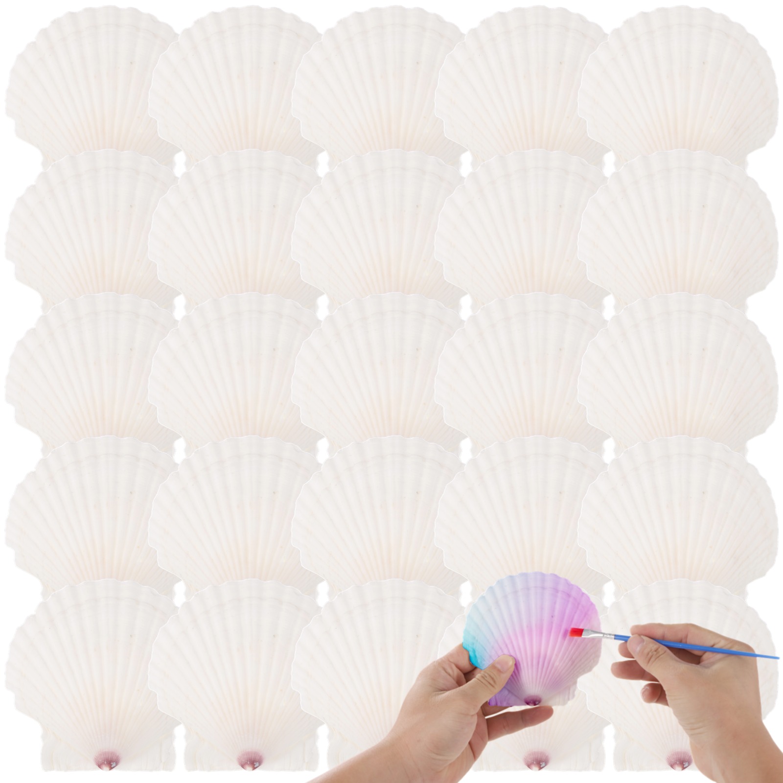 25 Pcs Scallops Shells, 4-5 Inches Large White Seashells, DIY Handcraft Materials, Perfect for Crafts Painting, Beach Theme Parties Wedding and Aquarium Fish Tank Decor