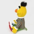 thumbnail image 4 of Enesco Sesame Street 14" Bert Gund Plush, 4 of 6