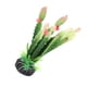 thumbnail image 5 of Planta De Cactus De Plástico, Terrario Cactus Plantas Acuáticas Artificiales, Ranas De árboles De árbol Para Acuario, 5 of 7