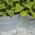 thumbnail image 4 of Grapevine Galvanized Steel Raised Garden Bed, 4 Leaf, Silver, 4 of 8
