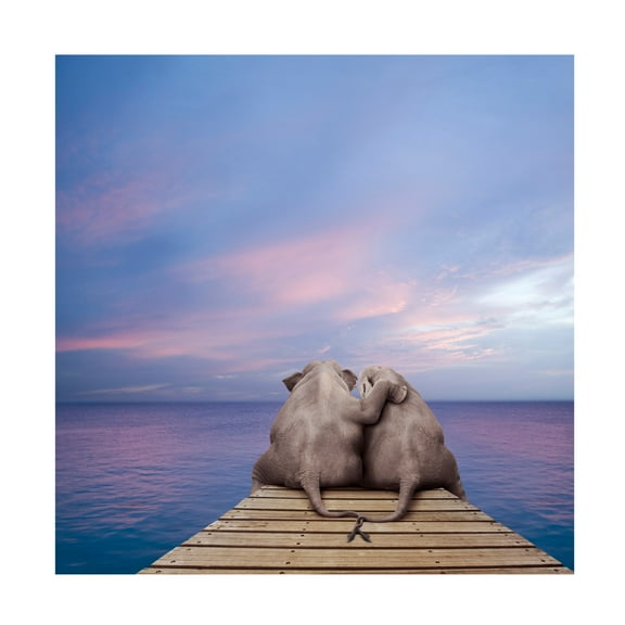 Canvas Wall Art - Lund Roeser 'Pachyderm Pier' Wall Art for Living Room, Bedroom, or Office Décor by Trademark Fine Art - 14 x 14 Inches