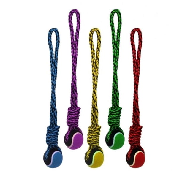 20 in. Nuts for Knots Rope Tug with Tennis Ball Toys, Assorted