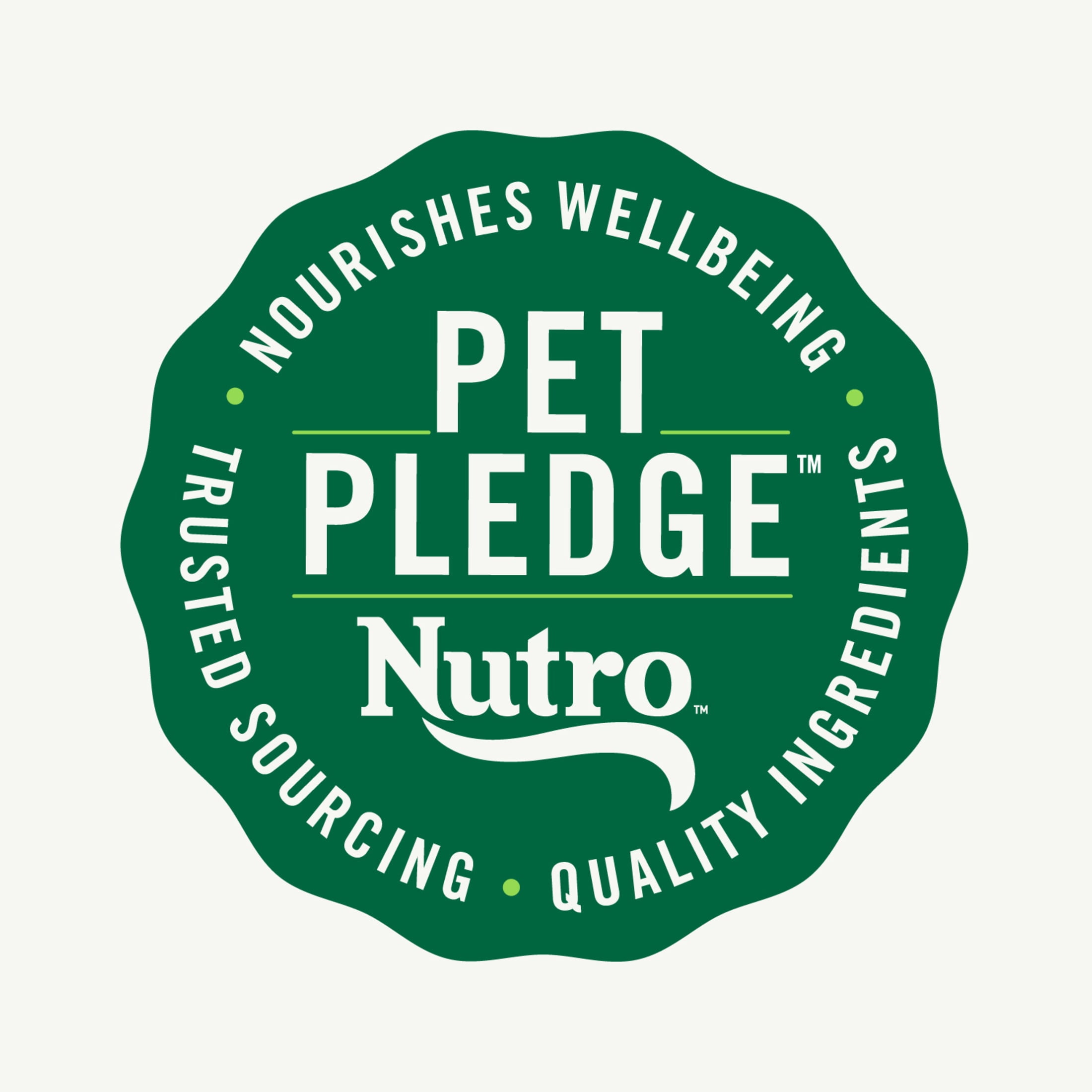 Nutro Natural Choice Premium Loaf Chicken Recipe Adult Wet Dog Food 12.5 oz Can Pack of 12