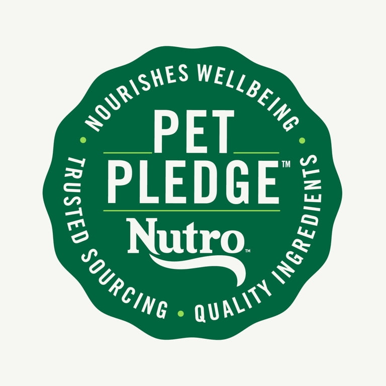 Nutro Natural Choice Cuts in Gravy Wet Dog Food Variety Pack, 12 x 3.5 oz photo 8