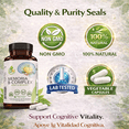 thumbnail image 4 of Memoria B-Complex 1500mg - Advanced Brain & Energy Support Supplement - Vitamins B, A, C, D, K2 with Omega-3, L-Carnitine, Tyrosine, Alpha Lipoic Acid & Ginkgo Biloba - 90 Vegetable Capsules  BE, 4 of 9