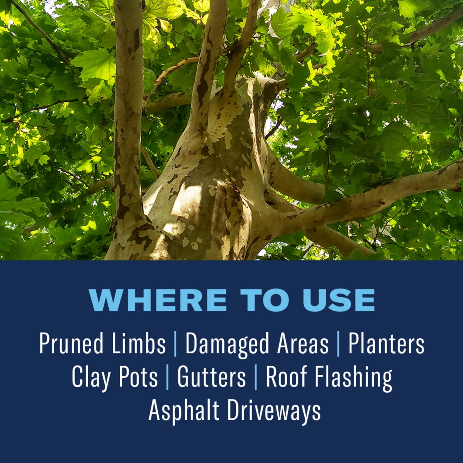 (2 pack) BioAdvanced Tree & Shrub Pruning Seal Liquid, 13oz Can Protects Newly Pruned Limbs From Insects and Fungus