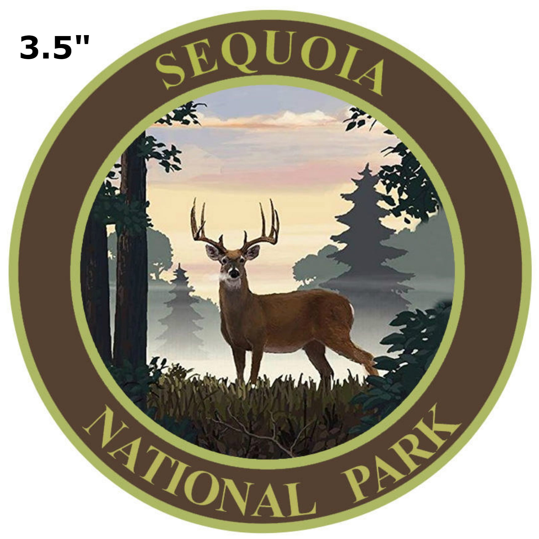 Sequoia National Park Embroidered Patch Iron//Sew-On Applique Explore Souvenir
