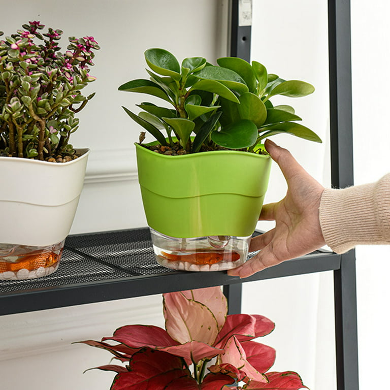 How to Water Your Indoor Herbs Using a Wick