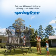 Springfree FlexrStep V2 Trampoline Ladder with Safety Lock, Silver/Black