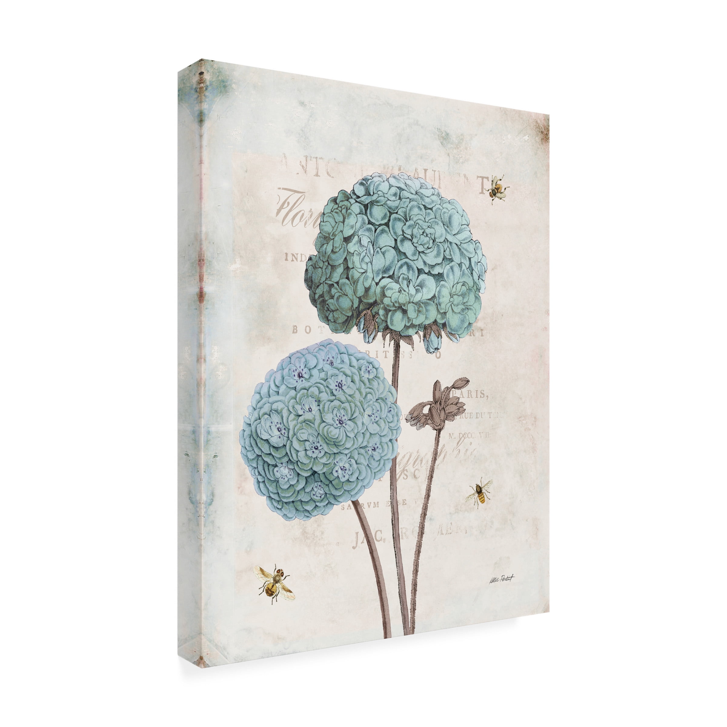 Katie Pertiet 'Geranium Study II' Canvas Art