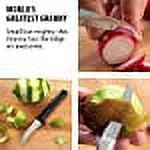Rada Cutlery Granny Paring Knife, Silver Handle, Pack of 6