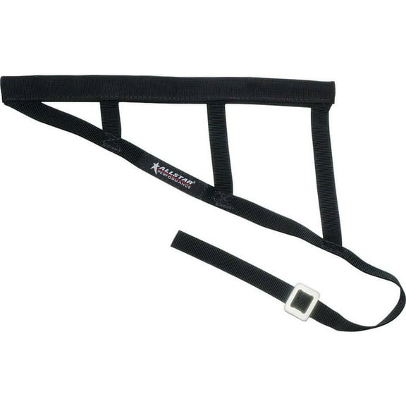 Allstar Performance Triangle Window Net Border Style