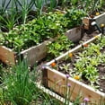 thumbnail image 5 of 12pcs Raised Garden Bed Corner Brackets for 12''-16'' Bed, Metal Garden Corner Bracket, 5 of 6