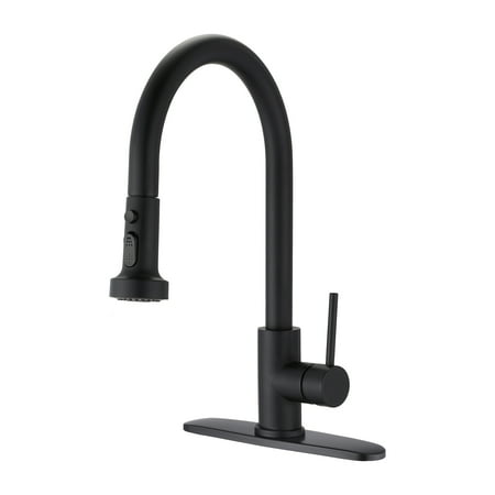 

Petsdo Stainless Steel Pull Down Kitchen Faucet with Sprayer Matte Black