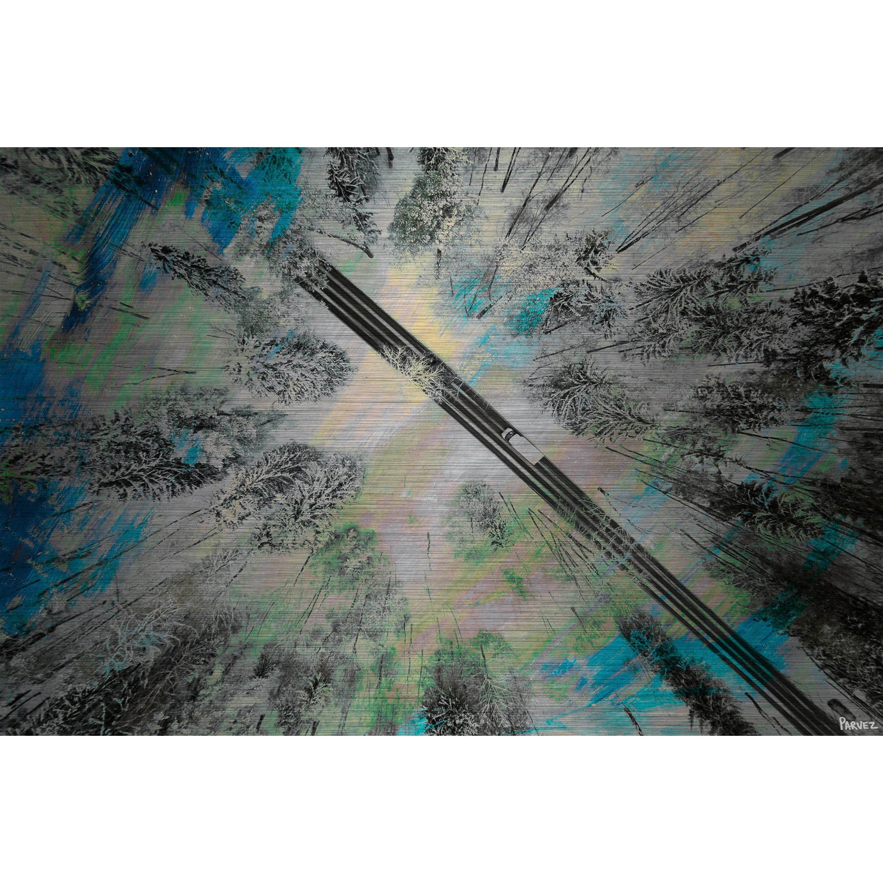 Parvez Taj "Ligthed Forest" Painting Print on Brushed Aluminum