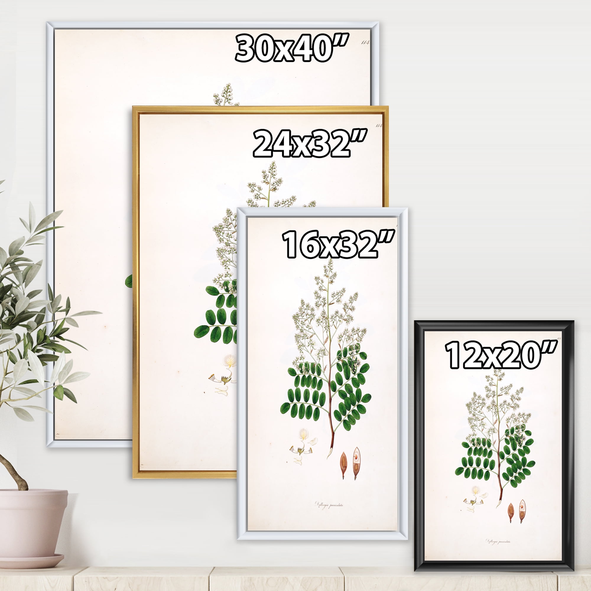 Designart 'Ancient Botanicals XII' Farmhouse Framed Canvas Wall Art Print
