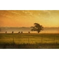 thumbnail image 2 of Vest, Christopher 32x23 White Modern Wood Framed Museum Art Print Titled - Lone Tree out in Kansas, 2 of 4