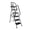 6 Step, variant on 3 Step Ladder, Folding Step Stool with Wide Anti-Slip Pedal, Sturdy Steel Ladder,  Lightweight, Portable Steel Step Stool, Durable Steel Stepping Stool for Kitchen, Home, Office & Garage
