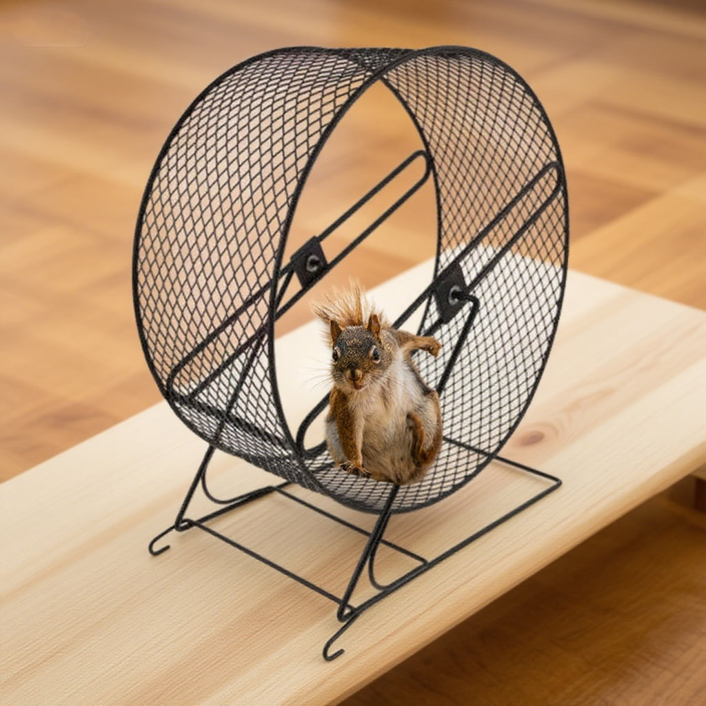 PatungKu Calm Small Pet Running Wheel Iron Building For Hamsters Squirrels Unguis Crushing And Exercise