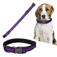 thumbnail image 4 of Durable Puppy Dog Cat Collar Personalized Pet ID Neck Strap (Purple M), 4 of 11