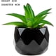 thumbnail image 4 of Plantas artificiales de interior en macetas, plantas artificiales al aire libre, mini plantas suculentas verdes en cerámica negra estética para baño, sala de estar, oficina (4) TUNC Sencillez, 4 of 5