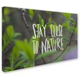 thumbnail image 2 of Trademark Fine Art "Nature" Canvas Art by Leah Flores, 2 of 3