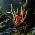 thumbnail image 5 of Aquarium Decorations, Artificial Aquatic Plants Soft Silica with Base for Saltwater Tank Decor, Realistic Low Maintenance, 5 of 7
