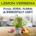 thumbnail image 2 of Mrs. Meyer's All-Purpose Cleaner Spray, Lemon Verbena, 16 fl. oz - Pack of 3, 2 of 3