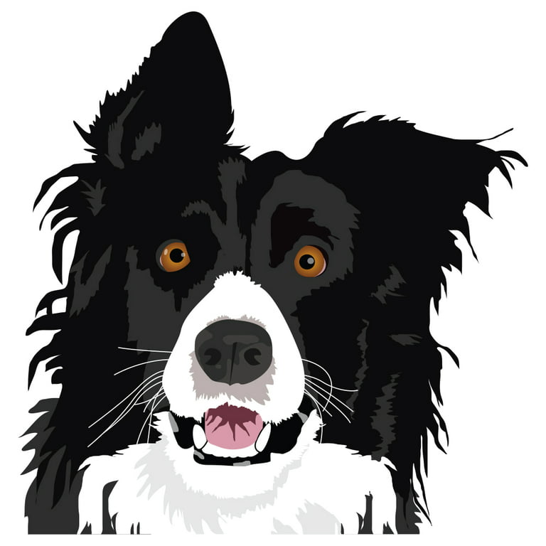 Border Collie Coloring Book: A Cute Adult Coloring Books for Border Collie  Owner, Best Gift for Border Collie Lovers