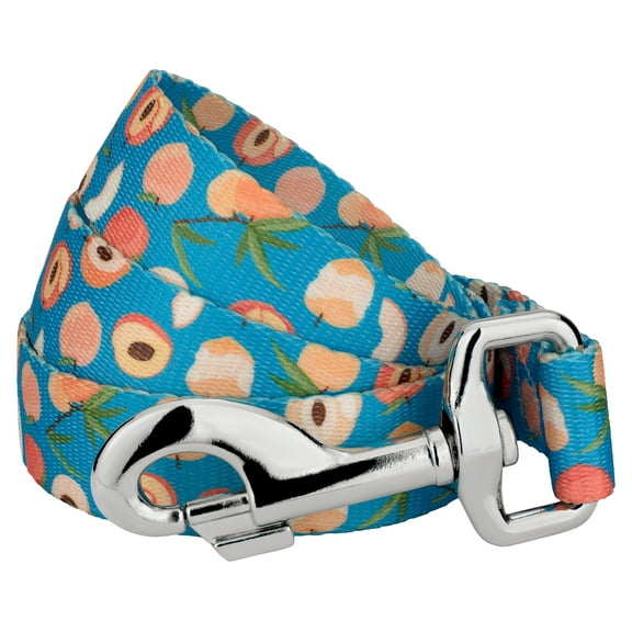 Country Brook Petz® 5/8 inch Peaches Dog Leash 6 Foot