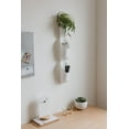 thumbnail image 4 of Floralink Wall Vessel White, 4 of 8